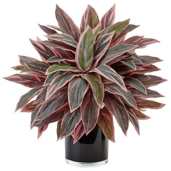 Caladium in Black Glossy Planter, Nearly Natural, Mfr#: 6940